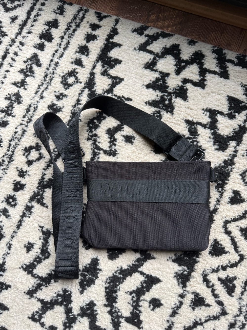 Pet training pouch